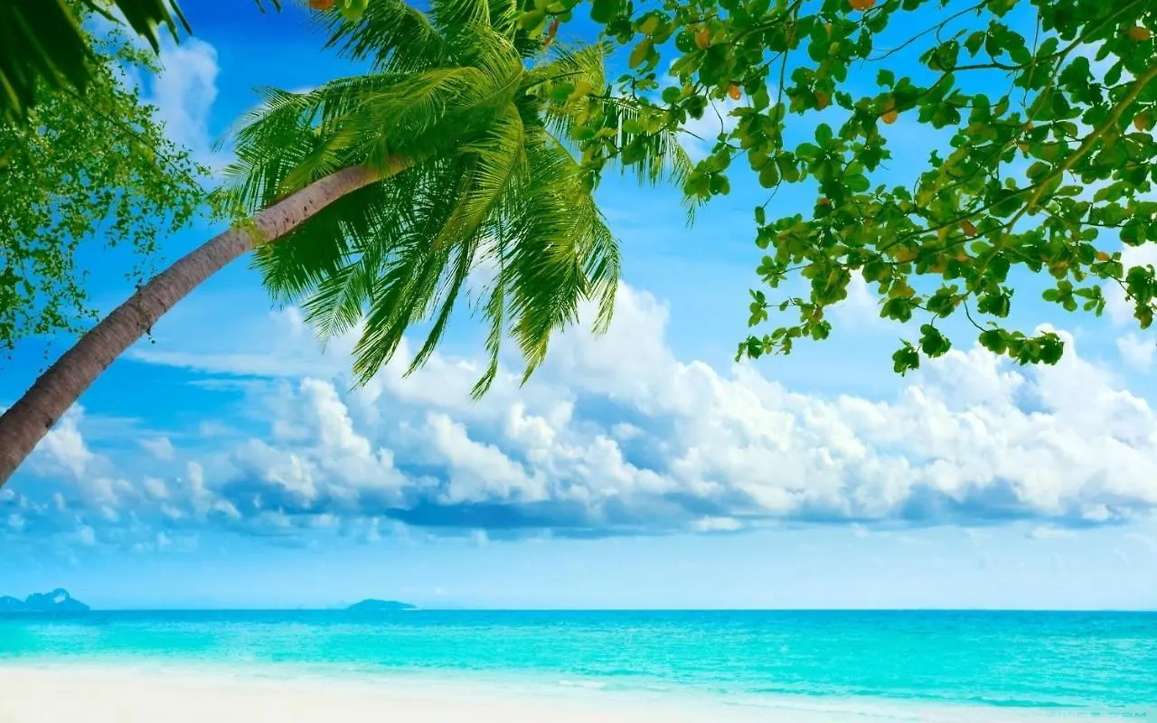 Appartement Royale Suites by Arc Royal Luxury Apts Anse Royale Seychelles